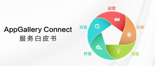 華為應(yīng)用市場AppGallery Connect服務(wù)白皮書 數(shù)字文化創(chuàng)意內(nèi)容應(yīng)用服務(wù)