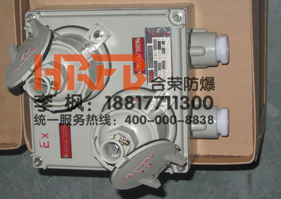 BCX51系列防爆配電箱 專業照明動力解決方案與廠家直銷優勢